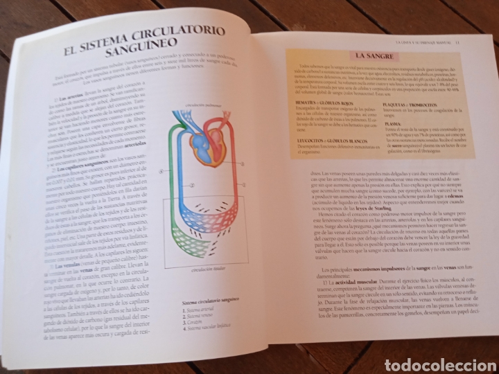 Libros de segunda mano: LA LINFA Y SU DRENAJE MANUAL - Foto 3