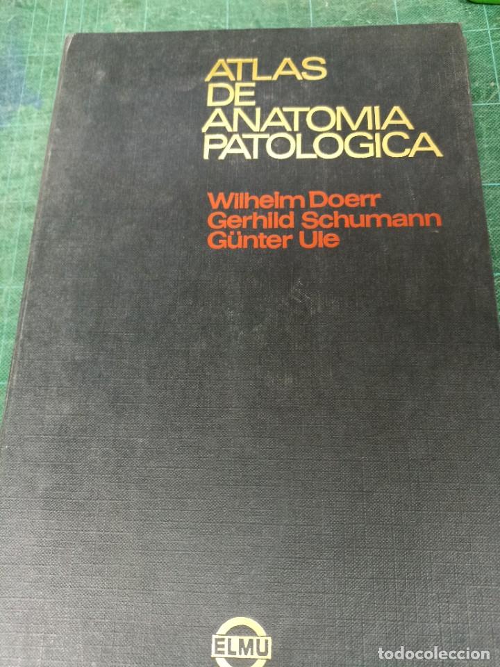 Libri di seconda mano: Wilhelm Doerr/ Gerhild Schumann/ Gunter Ule. Atlas de Anatom&iacute;a patologica