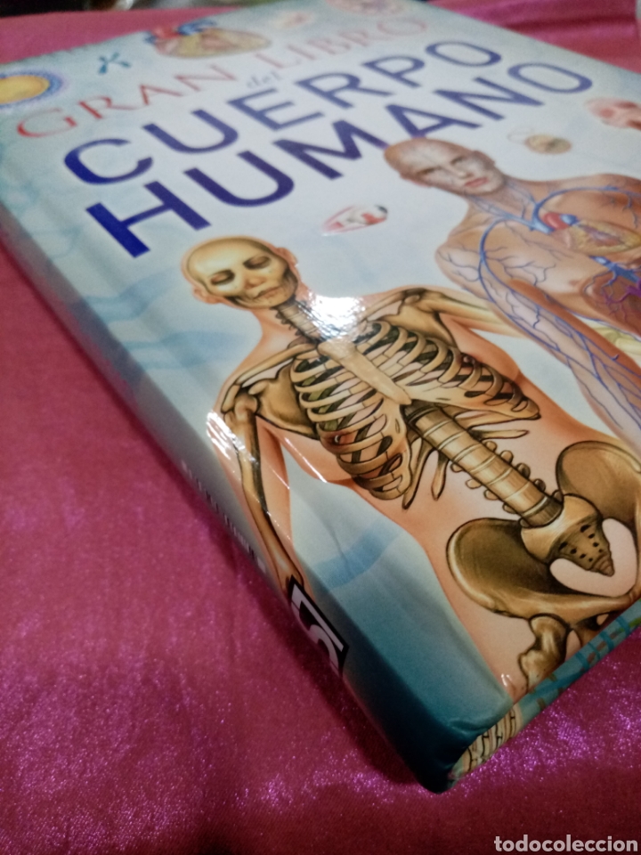 Libros de segunda mano: El Gran libro del Cuerpo Humano - Servilibro - Foto 2
