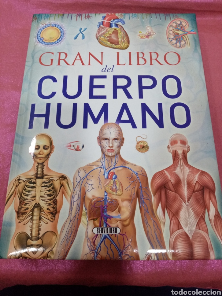 Libros de segunda mano: El Gran libro del Cuerpo Humano - Servilibro - Foto 1