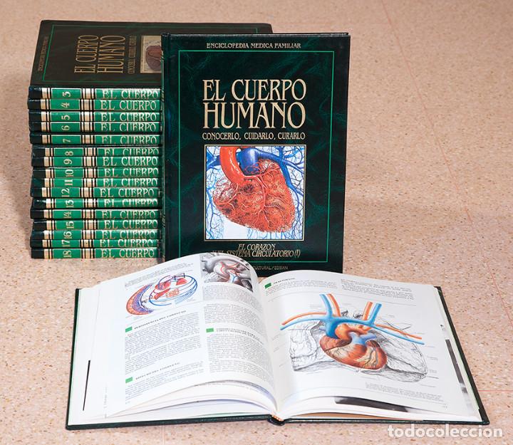 Libros de segunda mano: El cuerpo humano - Foto 1