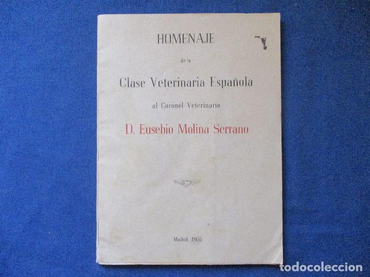Libros de segunda mano: HOMENAJE DE LA CLASE VETERINARIA ESPA&Ntilde;OLA AL CORONEL VETERINARIO D. EUSEBIO MOLINA SERRANO 1955
