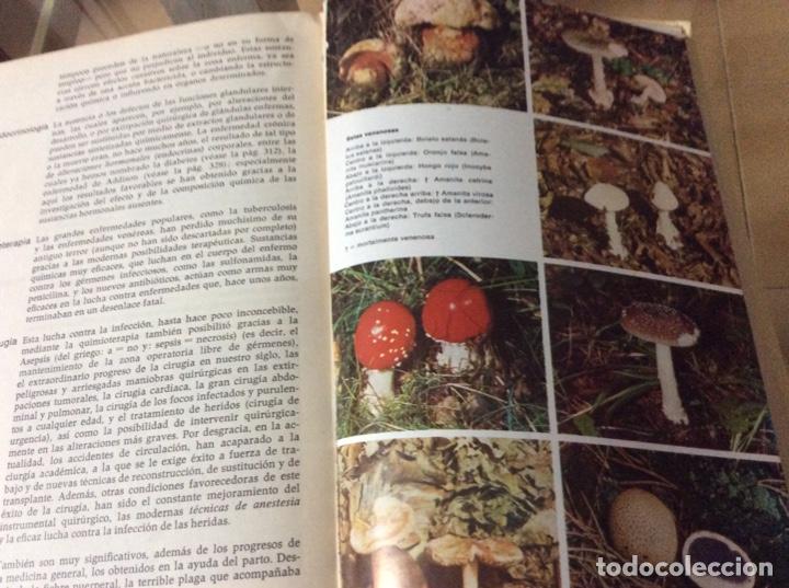 Libros de segunda mano: Gran enciclopedia de la Salud - Foto 3