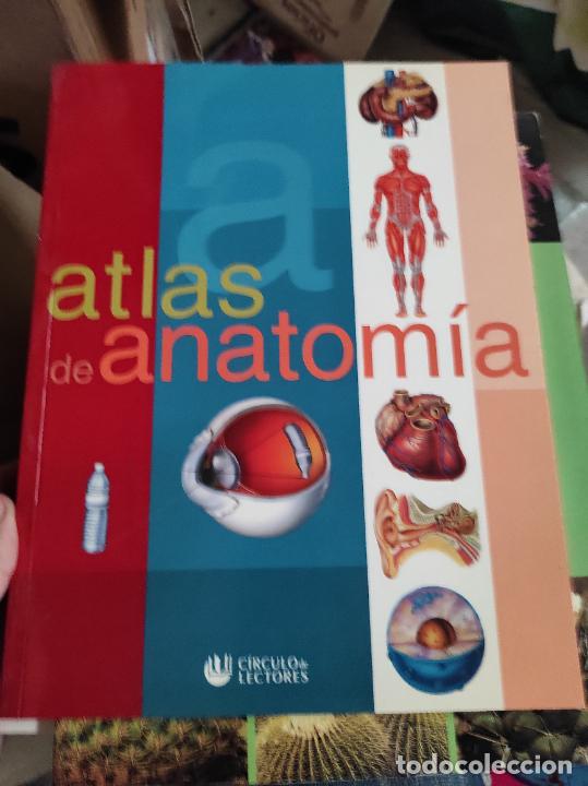 Libros de segunda mano: ATLAS DE ANATOM&Iacute;A (CIRCULO DE LECTORES - Foto 1