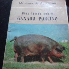 Libros de segunda mano: DIEZ TEMAS SOBRE GANADO PORCINO MINISTERIO DE AGRICULTURA DE 1971. Lote 300019823