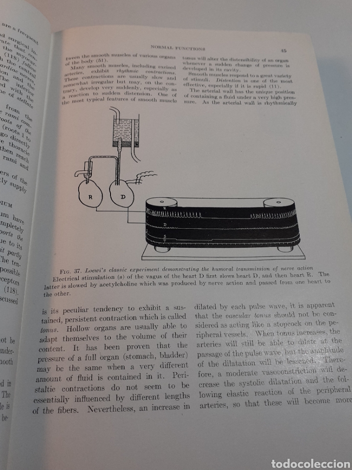 Libros de segunda mano: Heart, Aldo A. Luisada, ingl&eacute;s, 1948 - Foto 11