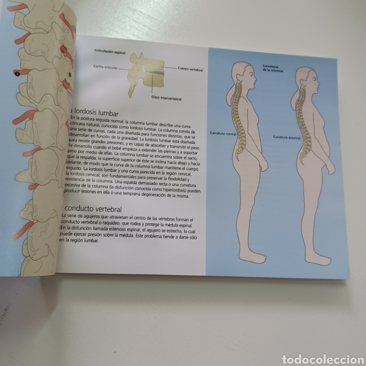 Libros de segunda mano: ESPALDA SANA - TIA STANMORE 2003 RBA - Foto 4