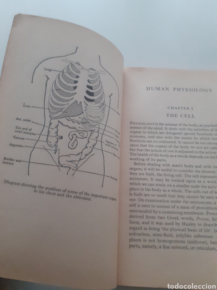 Libros de segunda mano: Human physiology, Kenneth Walker, ingl&eacute;s 1968 - Foto 5