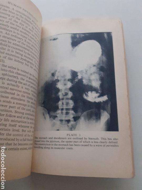 Libros de segunda mano: Human physiology, Kenneth Walker, ingl&eacute;s 1968 - Foto 6