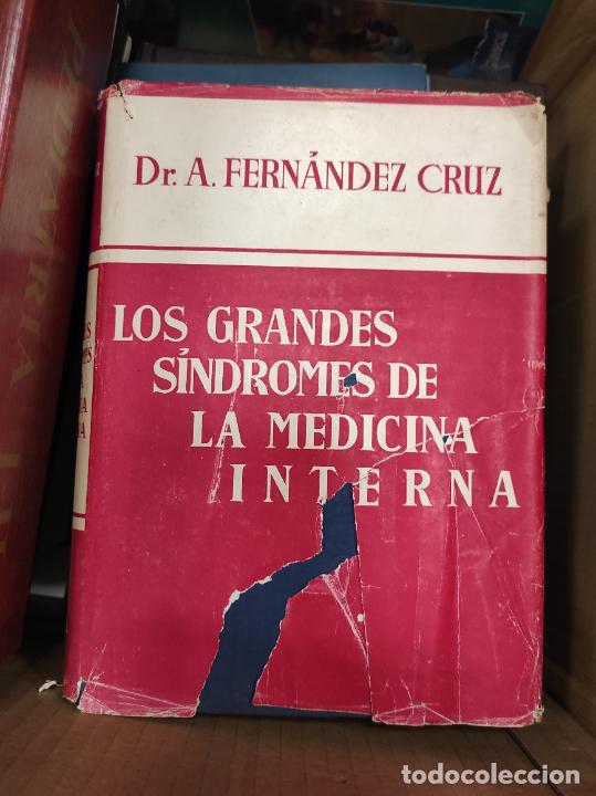 Libros de segunda mano: LOS GRANDES S&Iacute;NDROMES DE LA MEDICINA INTERNA. Dr. A. Fern&aacute;ndez Cruz