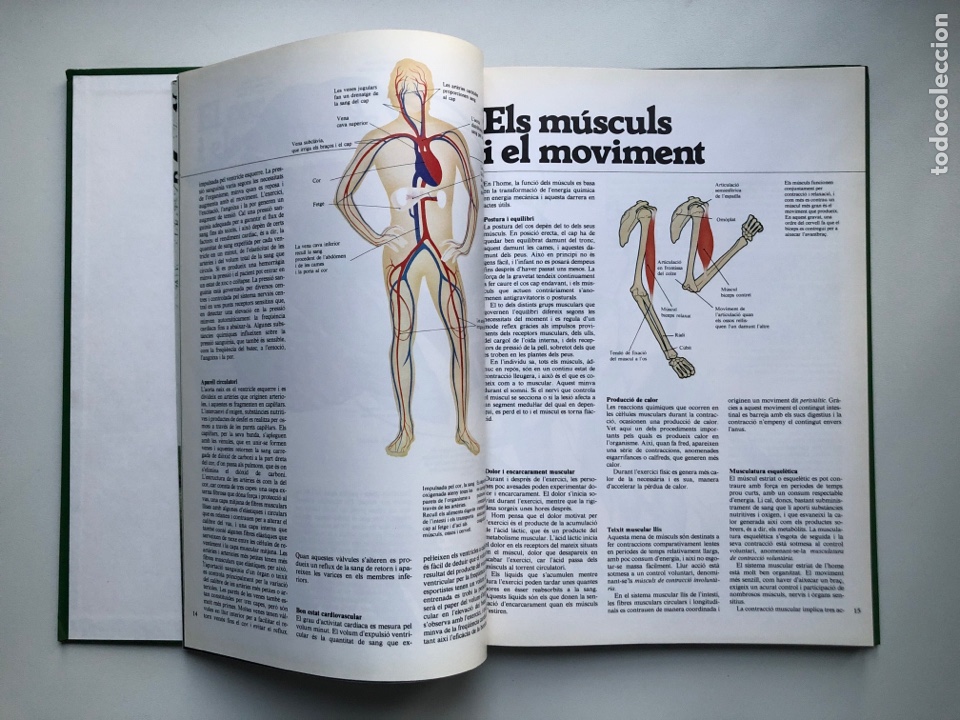 Libros de segunda mano: El llibre de la Salut - Foto 3