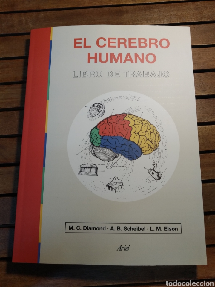 Libri di seconda mano: El cerebro humano. Libro de trabajo Marian C. Diamond | A B Scheibel Lawrence M Elson Libro nuevo