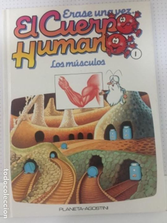 Gebrauchte B&uuml;cher: &Eacute;RASE UNA VEZ EL CUERPO HUMANO 1 Los musculos