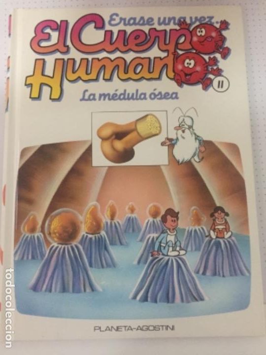Gebrauchte B&uuml;cher: &Eacute;RASE UNA VEZ EL CUERPO HUMANO La m&eacute;dula osea