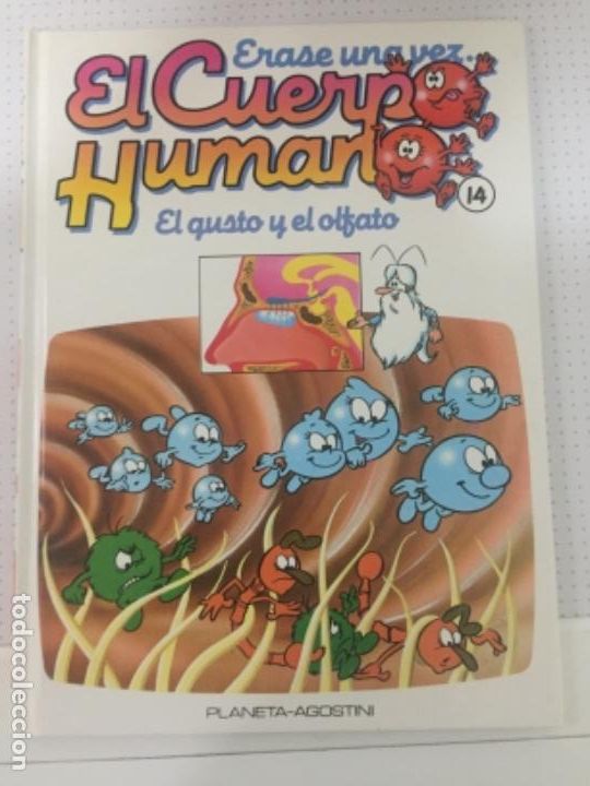 Gebrauchte B&uuml;cher: &Eacute;RASE UNA VEZ EL CUERPO HUMANO el gusto y olfato