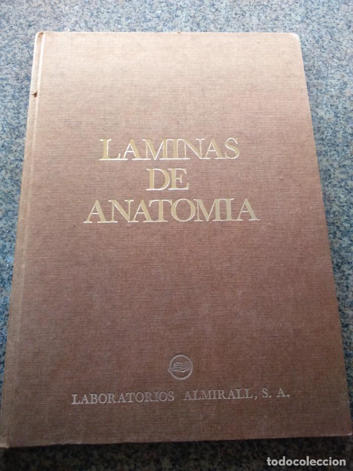 Libros de segunda mano: LAMINAS DE ANATOMIA -- ALMIRALL 1975 -- - Foto 1