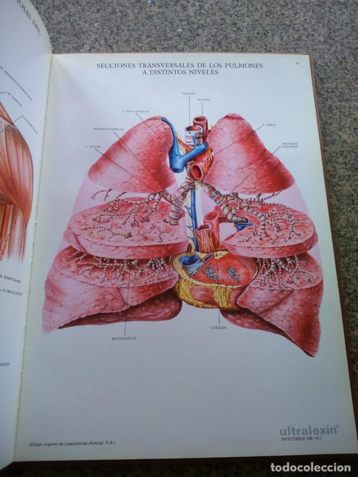 Libros de segunda mano: LAMINAS DE ANATOMIA -- ALMIRALL 1975 -- - Foto 2