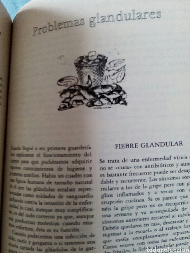 Libros de segunda mano: Hierbas Medicinales y Recetas Caseras - Foto 9