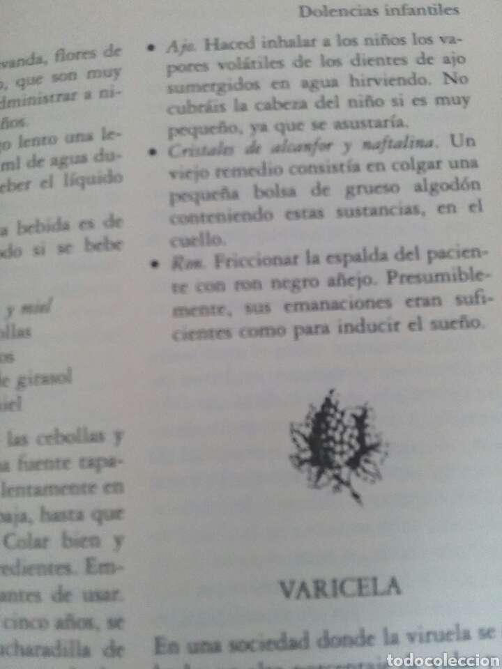 Libros de segunda mano: Hierbas Medicinales y Recetas Caseras - Foto 13