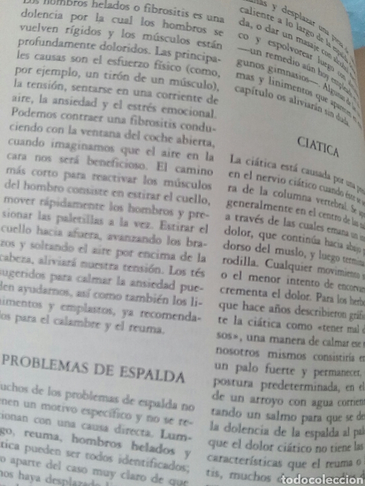 Libros de segunda mano: Hierbas Medicinales y Recetas Caseras - Foto 15