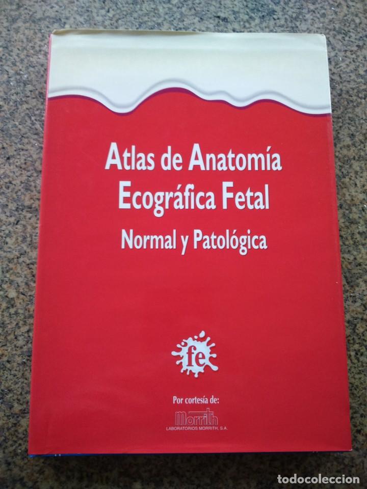 Libri di seconda mano: ATLAS DE ANATOMIA ECOGRAFICA FETAL - NORMAL Y PATOLOGICA -- 1995 --