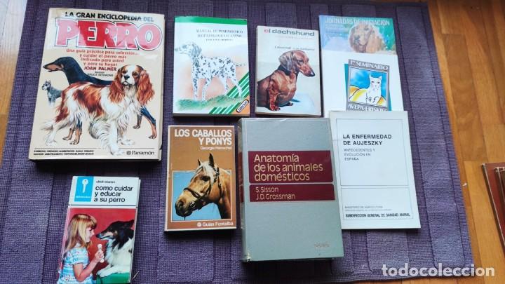 Libros de segunda mano: LOTE VETERINARIA. PERROS, GATOS Y CABALLOS - Foto 1