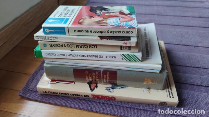 Libros de segunda mano: LOTE VETERINARIA. PERROS, GATOS Y CABALLOS - Foto 2