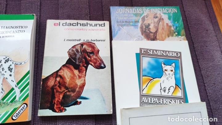 Libros de segunda mano: LOTE VETERINARIA. PERROS, GATOS Y CABALLOS - Foto 3