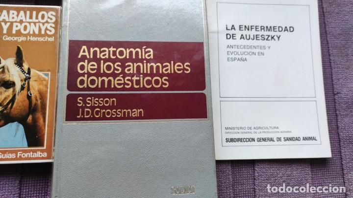 Libros de segunda mano: LOTE VETERINARIA. PERROS, GATOS Y CABALLOS - Foto 4