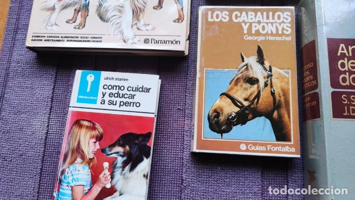 Libros de segunda mano: LOTE VETERINARIA. PERROS, GATOS Y CABALLOS - Foto 5