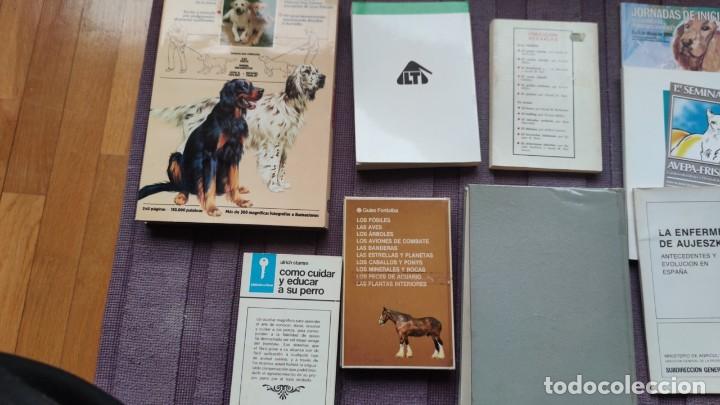 Libros de segunda mano: LOTE VETERINARIA. PERROS, GATOS Y CABALLOS - Foto 6