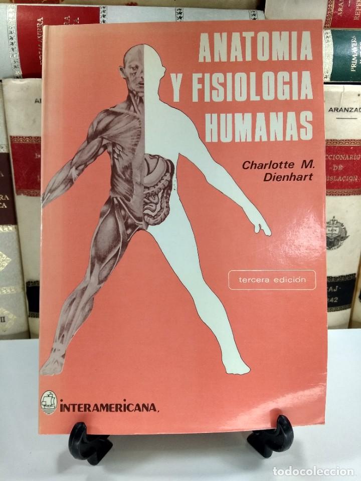 Libri di seconda mano: ANATOMIA Y FISIOLOGIA HUMANAS. M. DIENHART, Charlotte. A&ntilde;o 1981. ISBN: 9682507324. 3&ordf; Ed. mejorada