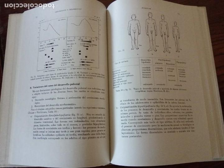Libros de segunda mano: Diagn&oacute;stico ortop&eacute;dico. - Hans U. Debrunner. - Foto 4
