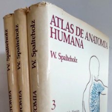 Libros de segunda mano: ATLAS DE ANATOMÍA HUMANA - W. SPALTEHOLZ. 3 TOMOS.. Lote 341209523
