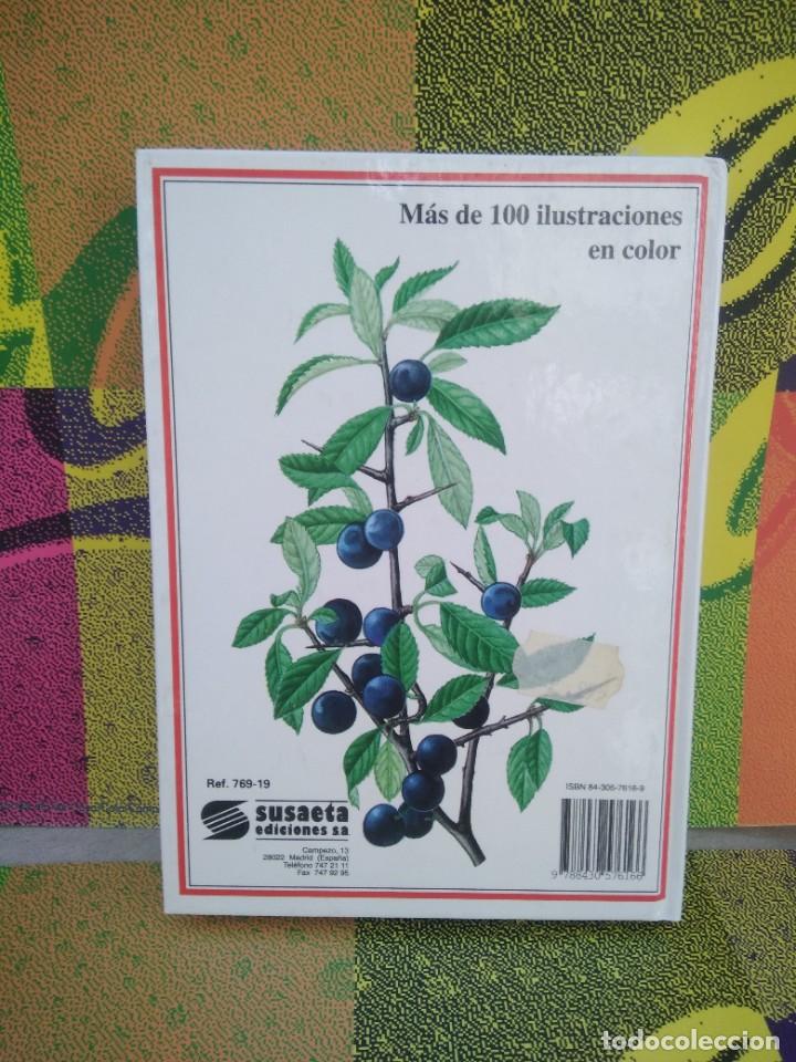 Libros de segunda mano: Libro Plantas Silvestres comestibles - Foto 3