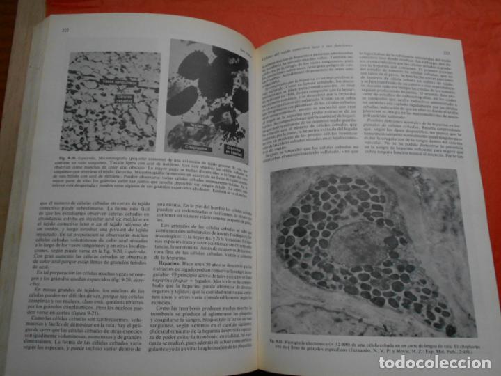 Libros de segunda mano: TRATADO DE HISTOLOG&Iacute;A ARTHUR W. HAM - Foto 2
