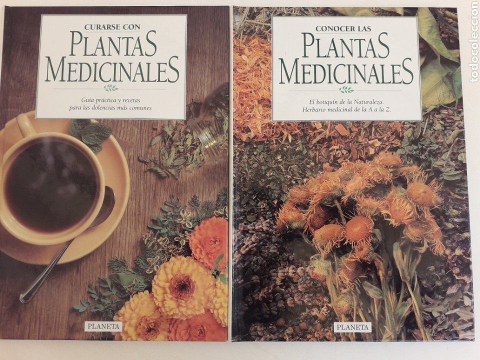 plantas medicinales, herbario medicinal de la a - Buy Used books about  medicine, pharmacy and health on todocoleccion