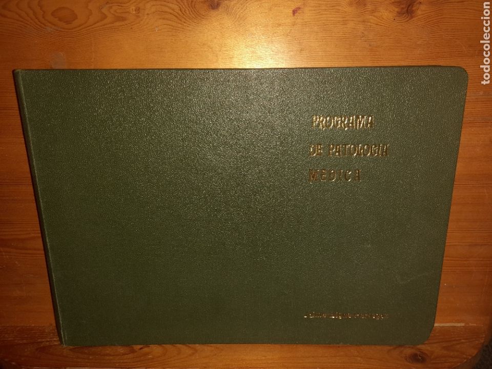 Libros de segunda mano: JAIME BIGNE PERTEGAZ PROGRAMA DE PATOLOGIA MEDICA MADRID 1962 OPOSICI&Oacute;N CATEDRA FACULTAD SANTIAGO