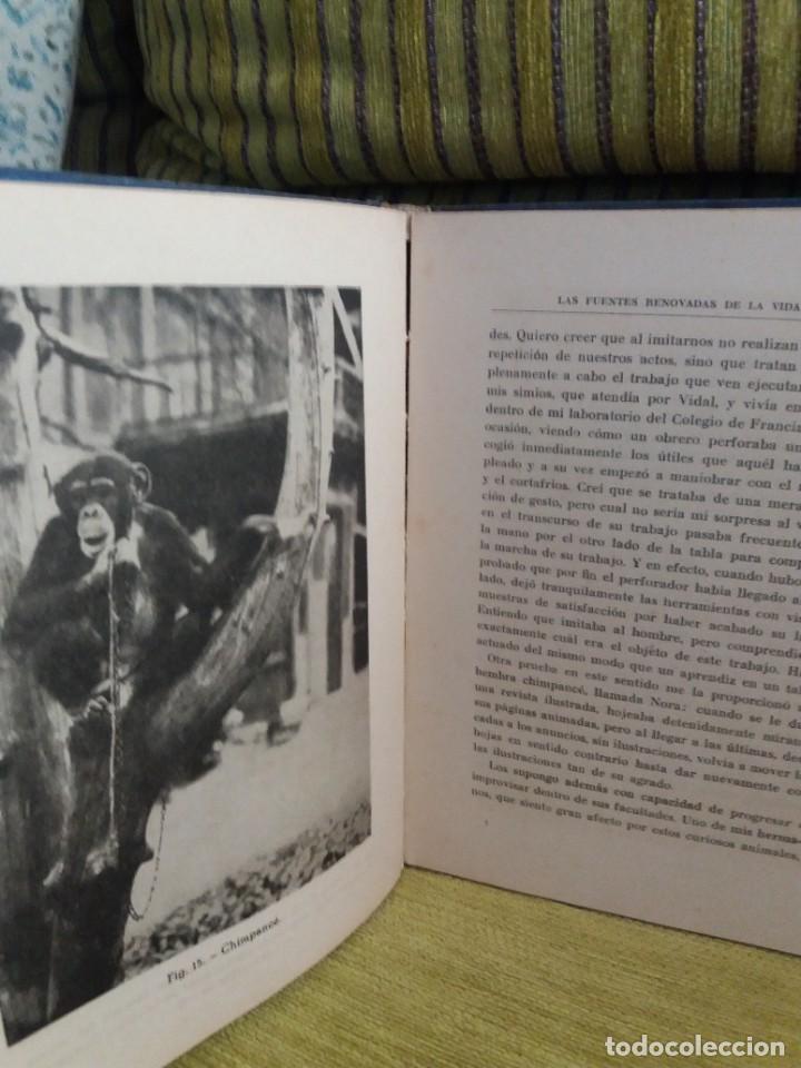 Libros de segunda mano: LAS FUENTES RENOVADAS DE LA VIDA - Foto 9