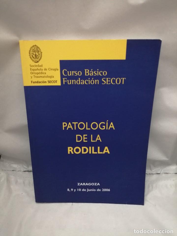 Gebrauchte B&uuml;cher: CURSO B&Aacute;SICO FUNDACI&Oacute;N SECOT: PATOLOG&Iacute;A DE LA RODILLA