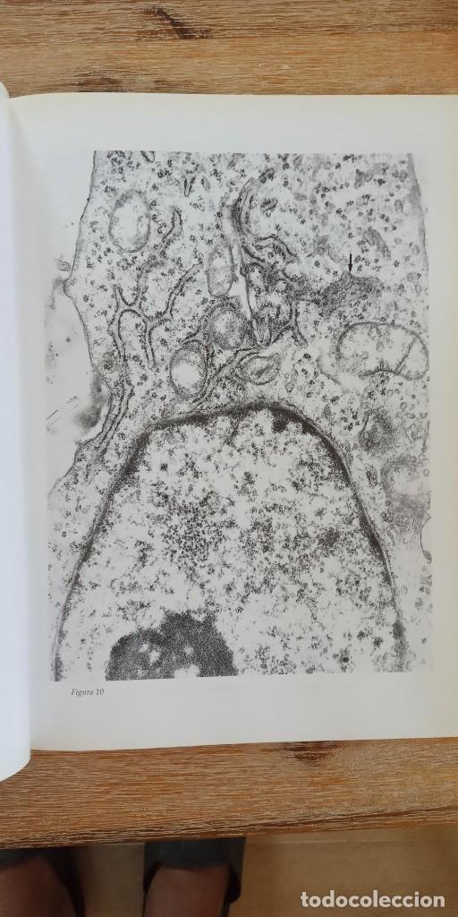Libros de segunda mano: CITOLOGIA PRACTICA - EUNSA - Foto 2