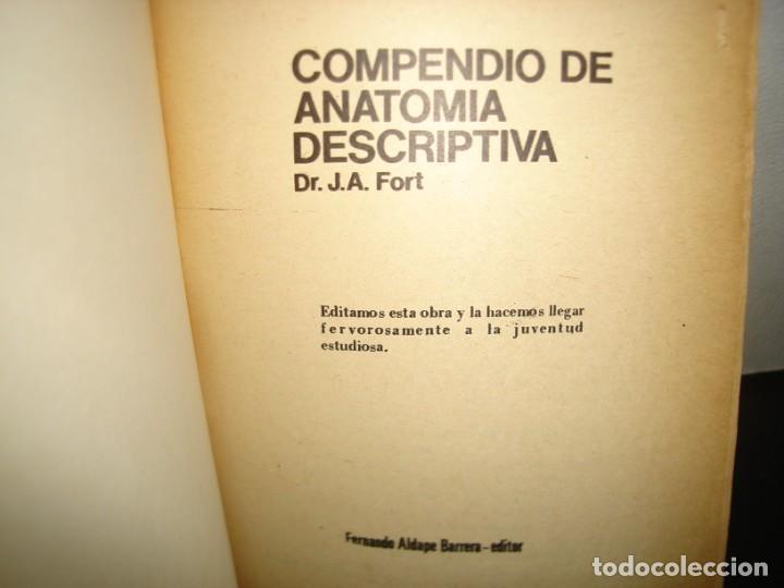 Libros de segunda mano: 34- COMPENDIO DE ANATOM&Iacute;A DESCRIPTIVA - DR. J. A. FORT - Foto 3