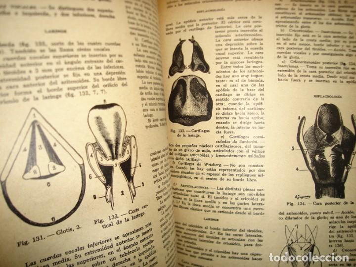 Libros de segunda mano: 34- COMPENDIO DE ANATOM&Iacute;A DESCRIPTIVA - DR. J. A. FORT - Foto 4