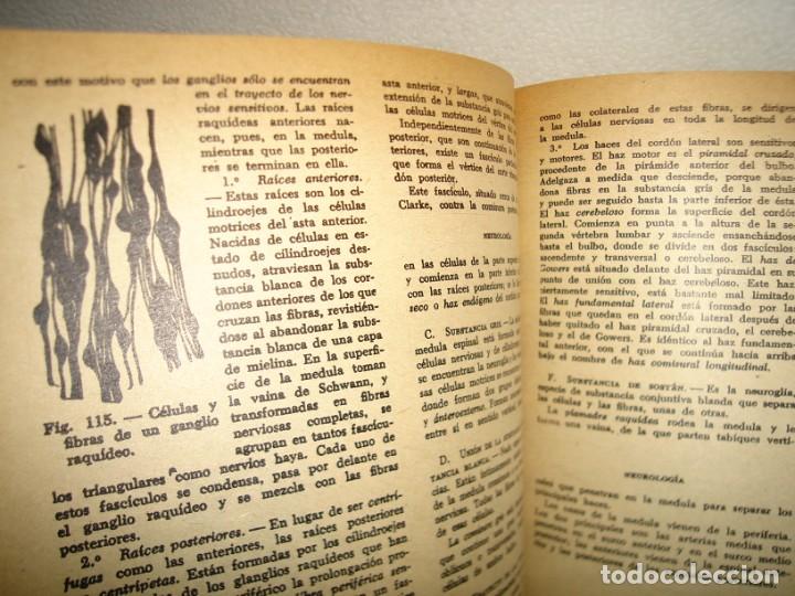 Libros de segunda mano: 34- COMPENDIO DE ANATOM&Iacute;A DESCRIPTIVA - DR. J. A. FORT - Foto 5