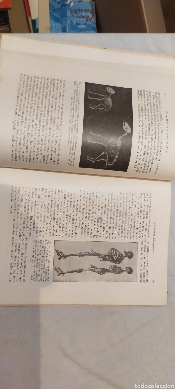 Libros de segunda mano: La secreciones internas - Foto 4