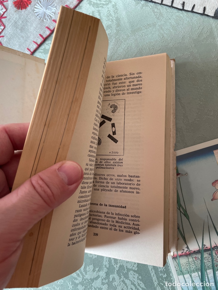 Libros de segunda mano: Historia de la medicina (KENNETH WALKER) - Foto 3