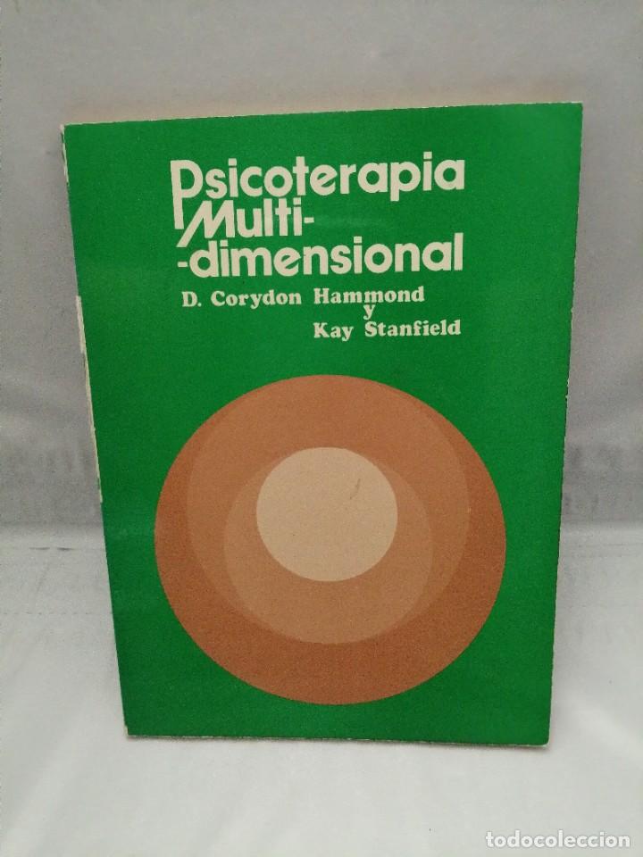 Libros de segunda mano: PSICOTERAPIA MULTIDIMENSIONAL - Foto 1
