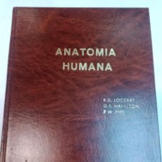Libros de segunda mano: VV.AA ANATOMIA HUMANA SA10784