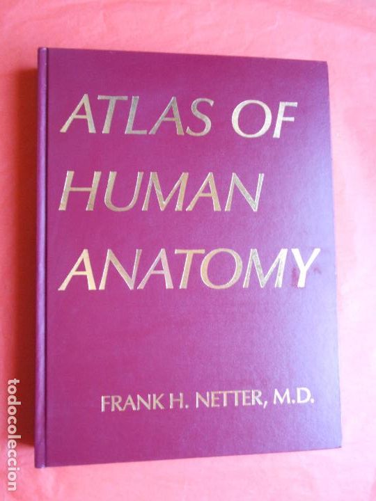 atlas of human anatomy frank h. netter, md anat - Compra venta en ...