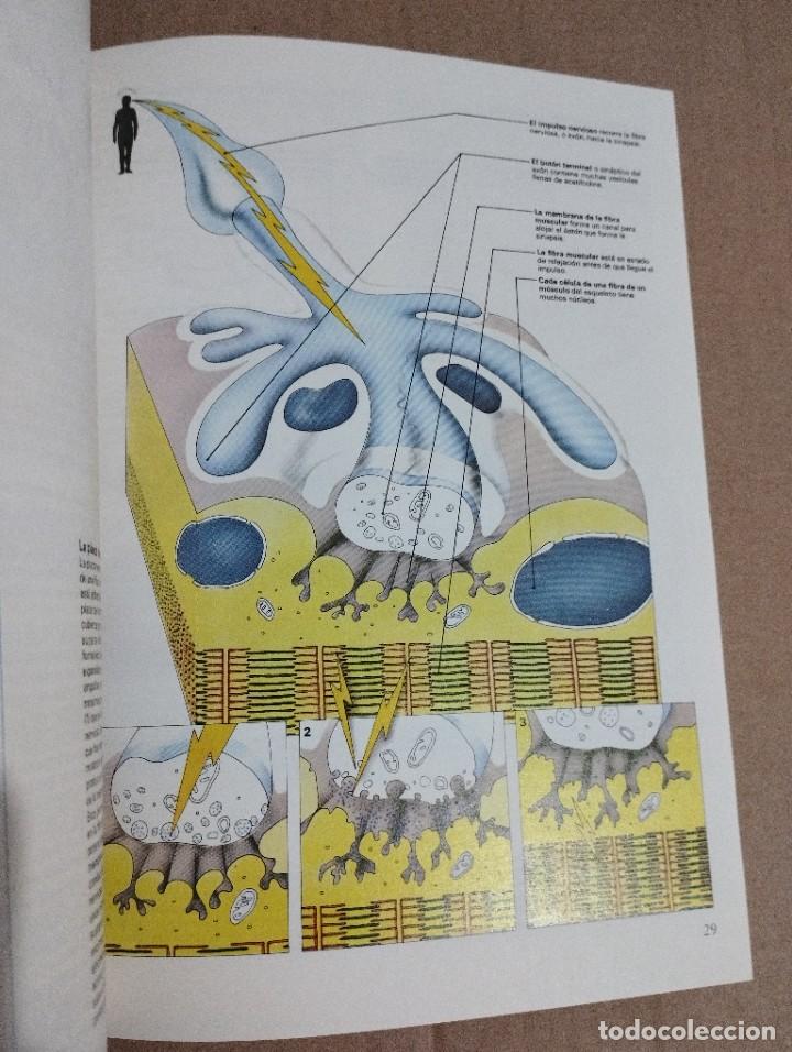 Libros de segunda mano: LA MENTE HUMANA (C. RAYNER) - Foto 9
